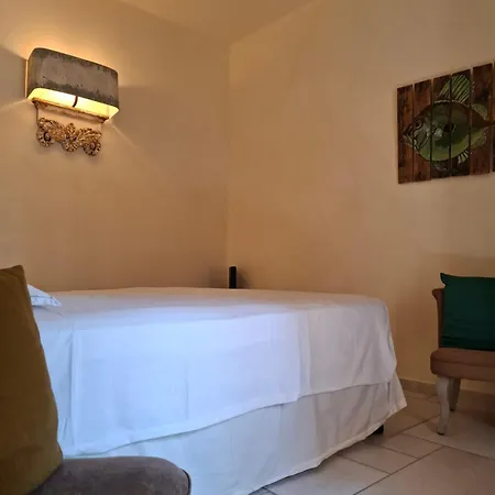 Petit Douillet Au Cœur De La Haute-ville *